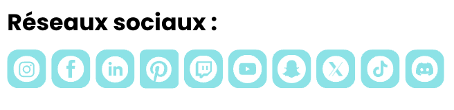 logo réseaux sociaux
